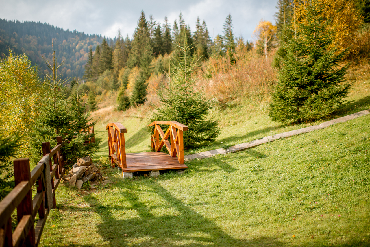 Місток у гори. Фото: zaharberkut.ua