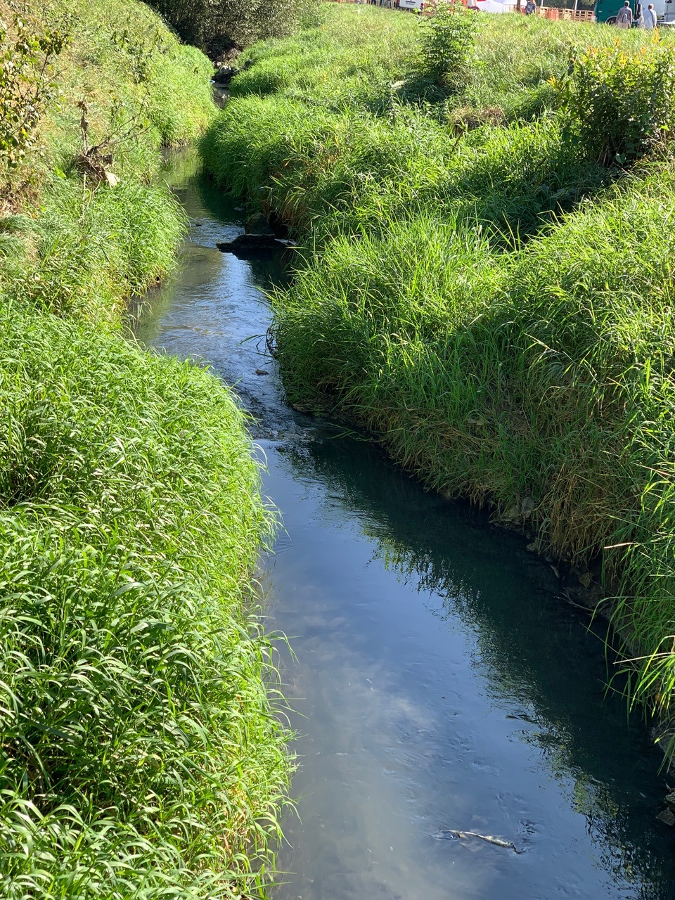 Так зараз виглядає річка Зубра поблизу ринку «Шувар». Фото: Львівська міська рада