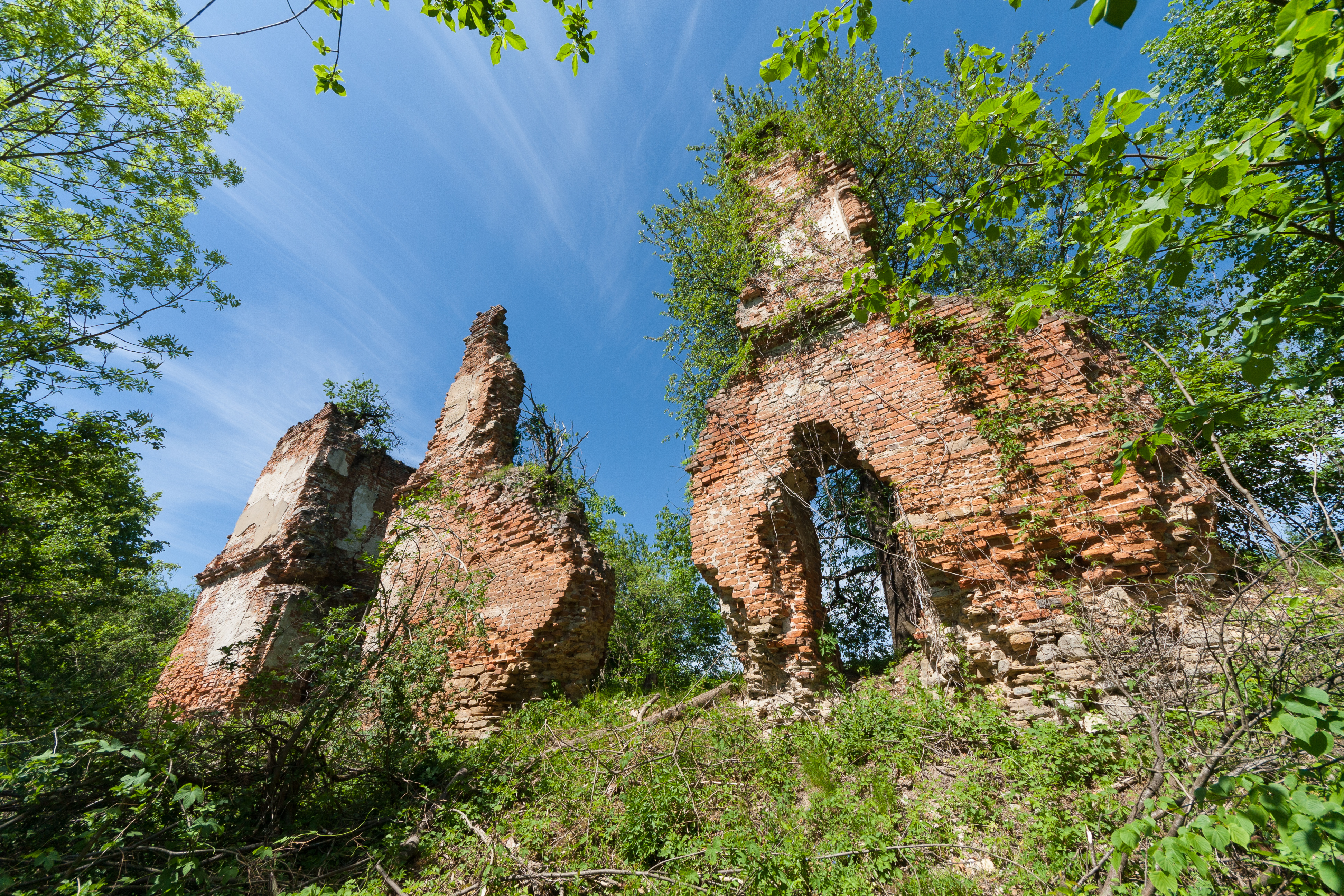 Замок у Мурованому. Фото: Вікіпедія