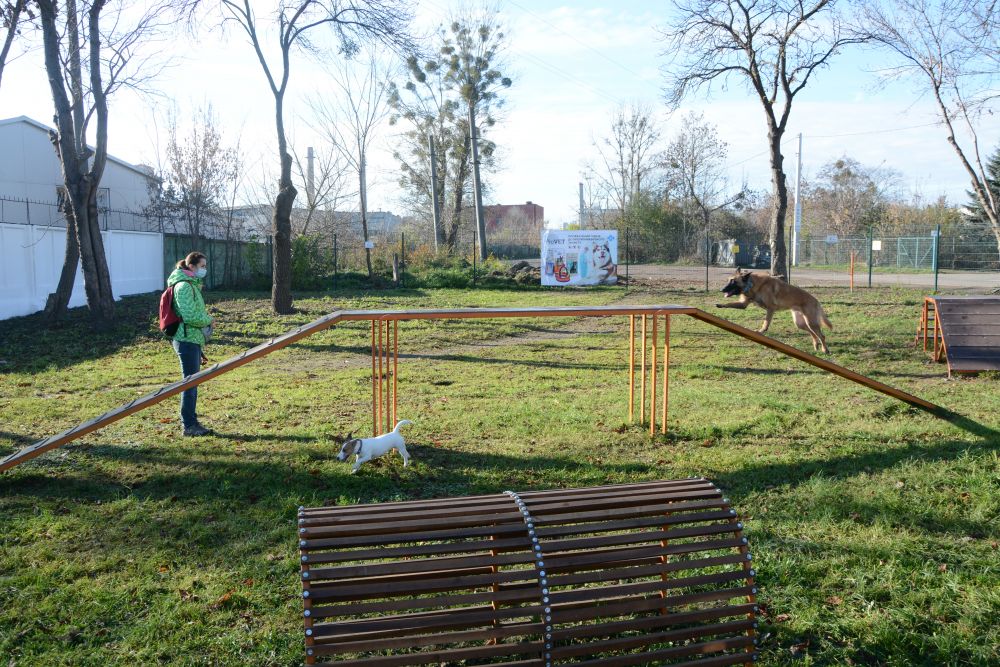 Як виглядає новий тренувально-вигульний майданчик для собак на Промисловій. Фото: ЛМР