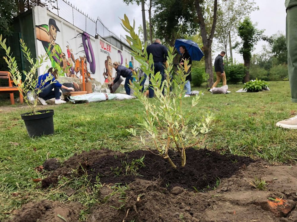У Львові облаштували сенсорний сад для собак. Фото: Львівська міська рада