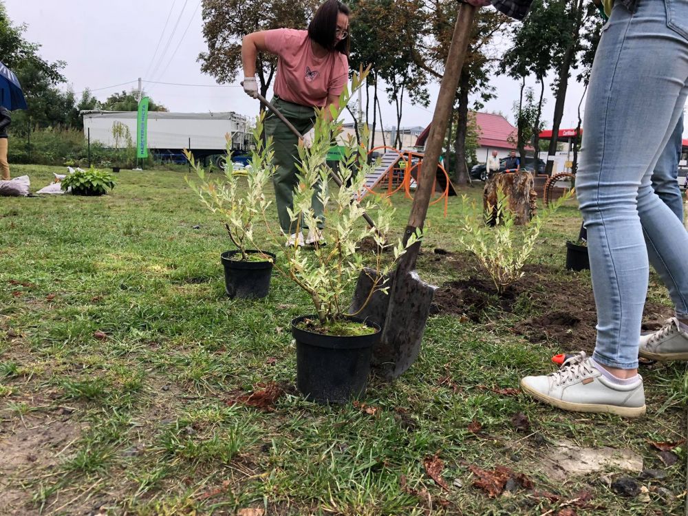 У Львові облаштували сенсорний сад для собак. Фото: Львівська міська рада