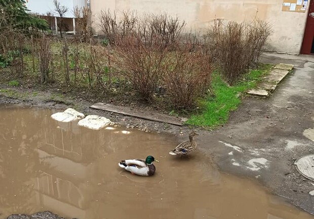 Як вижити без гарячої води. Фото: Гаряча лінія міста Львова