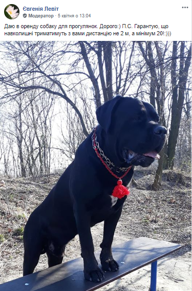 "Оренда собаки". Скріншот з "Спільноти собачників Львова"