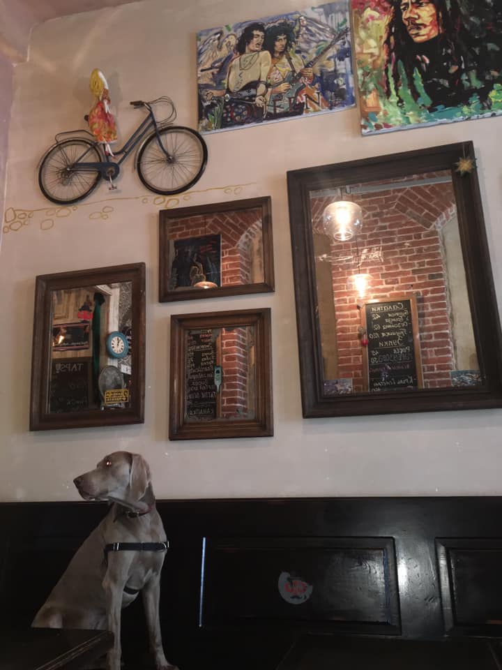 Куди впускають з котом і собакою: 7 pet-friendly ресторанів Львова