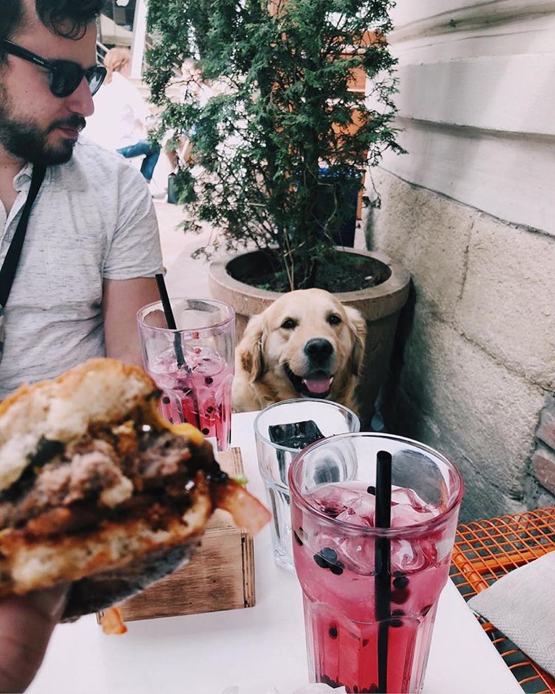 Куди впускають з котом і собакою: 7 pet-friendly ресторанів Львова