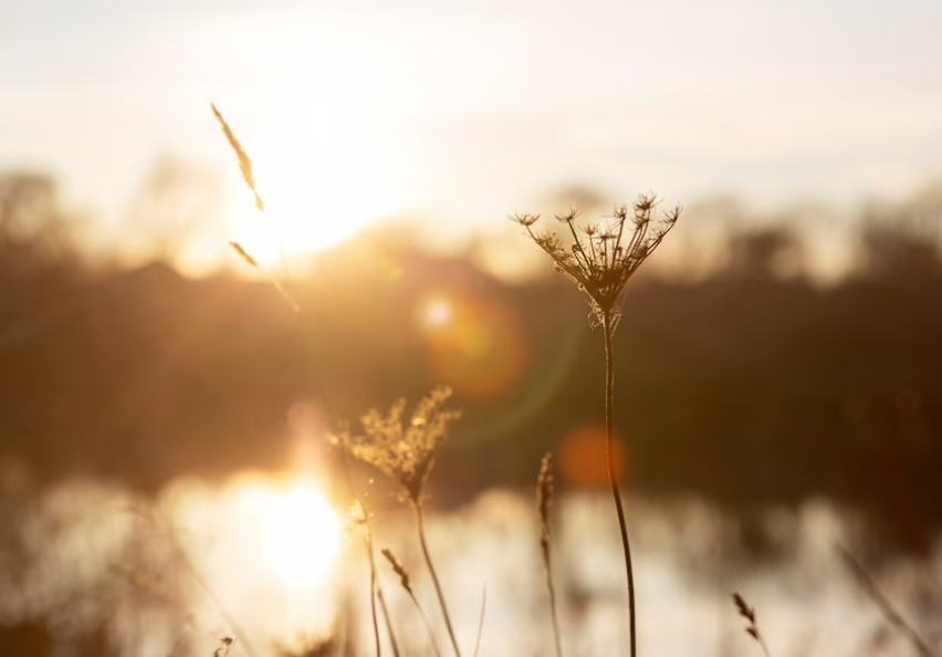 День весняного рівнодення 2023 року. Фото: freepik