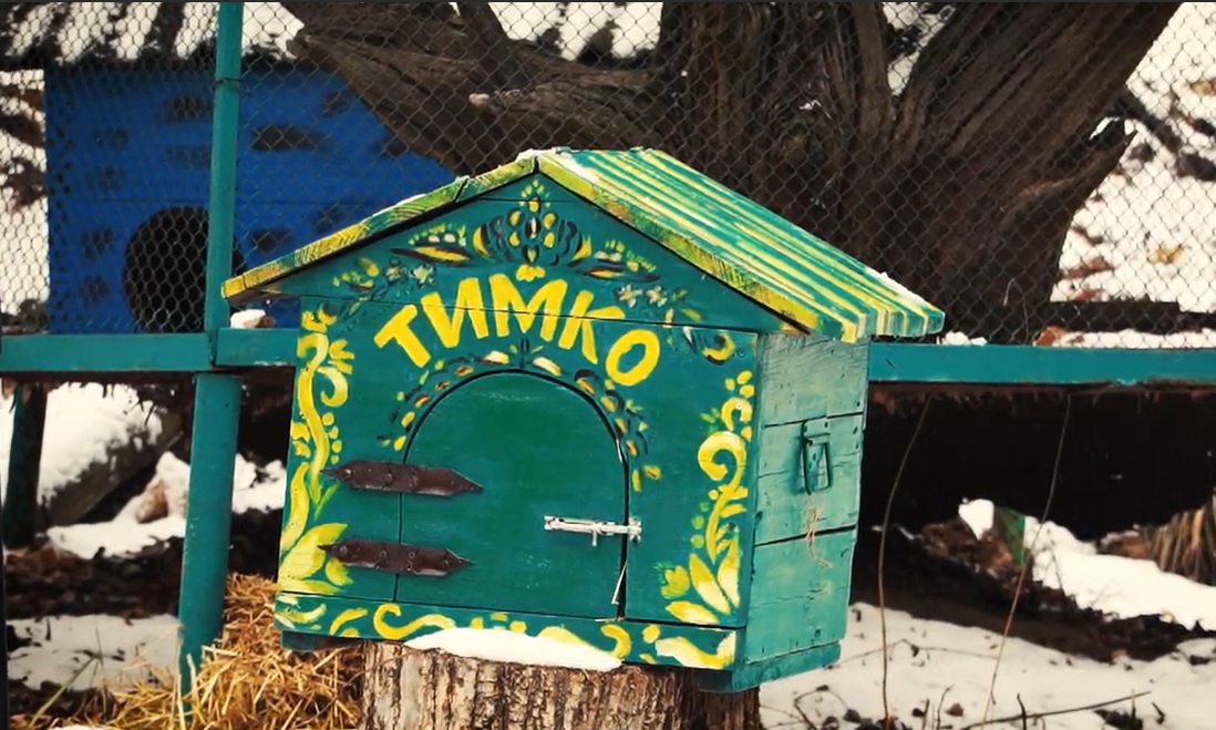 Коли настане весна 2026: бабак Тімко зробив свій прогноз.