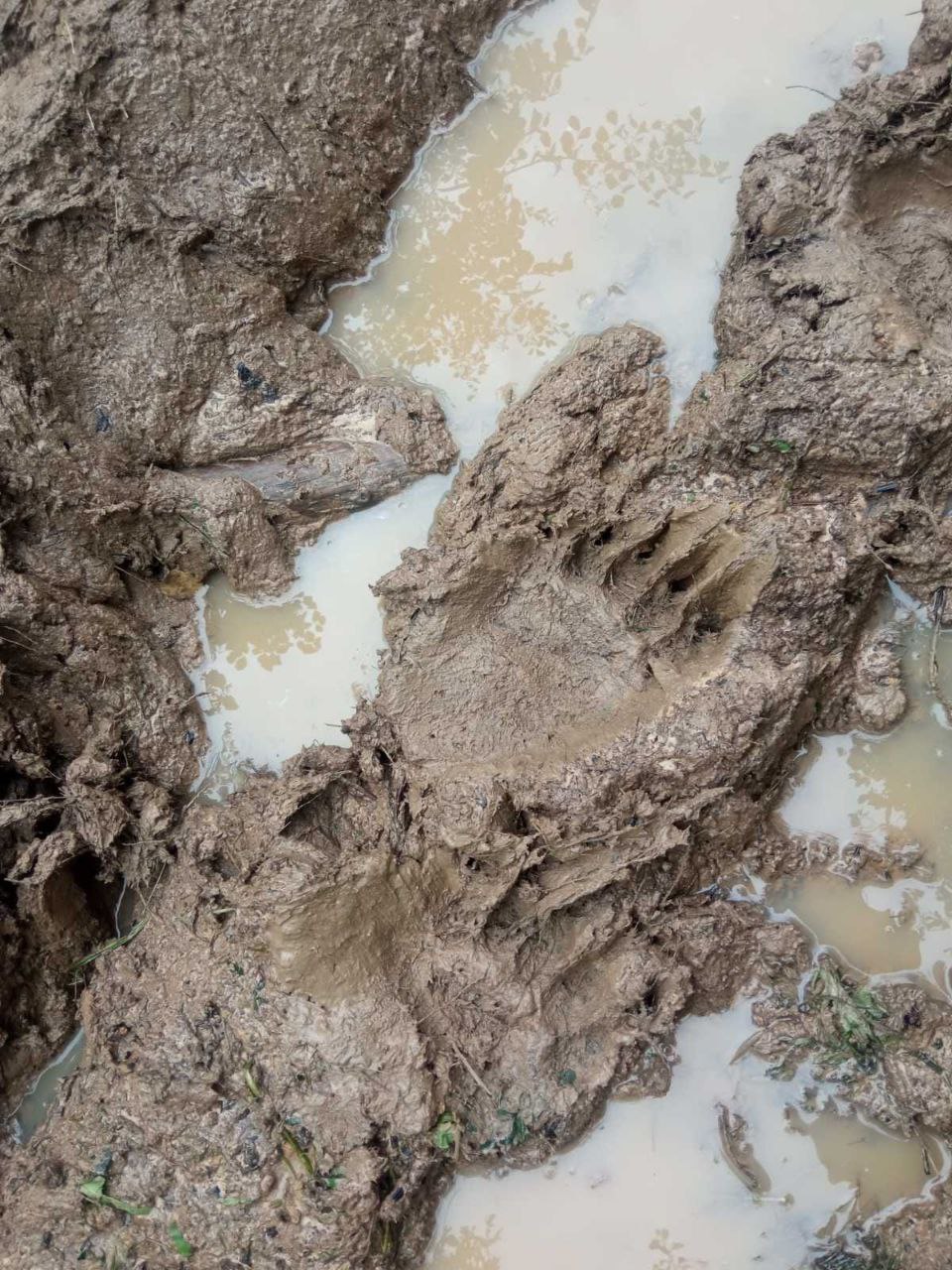 Фото: Дрогобицька військова адміністрація