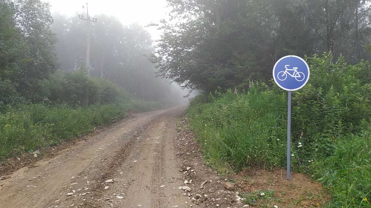 Нова оглядова вежа у Карпатах: як доїхати зі Львова, ціни 2022