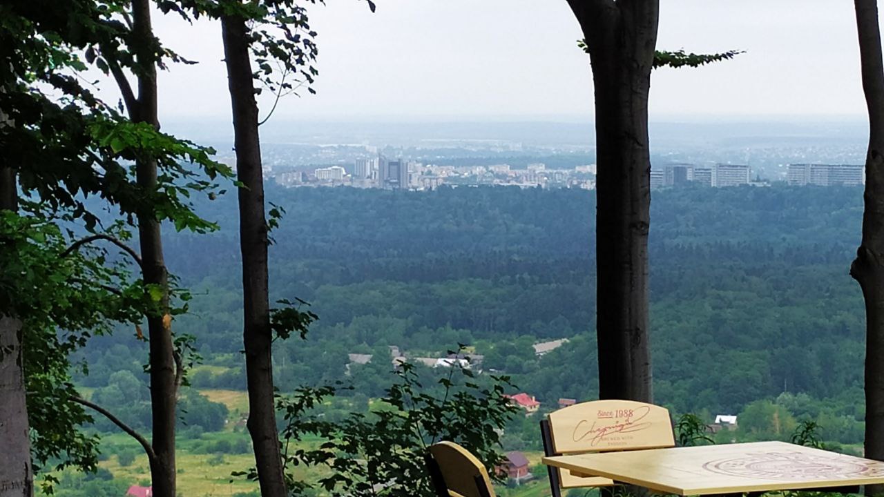 Нова оглядова вежа у Карпатах: як доїхати зі Львова, ціни 2022