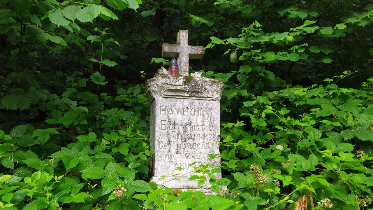 Нова оглядова вежа у Карпатах: як доїхати зі Львова, ціни 2022