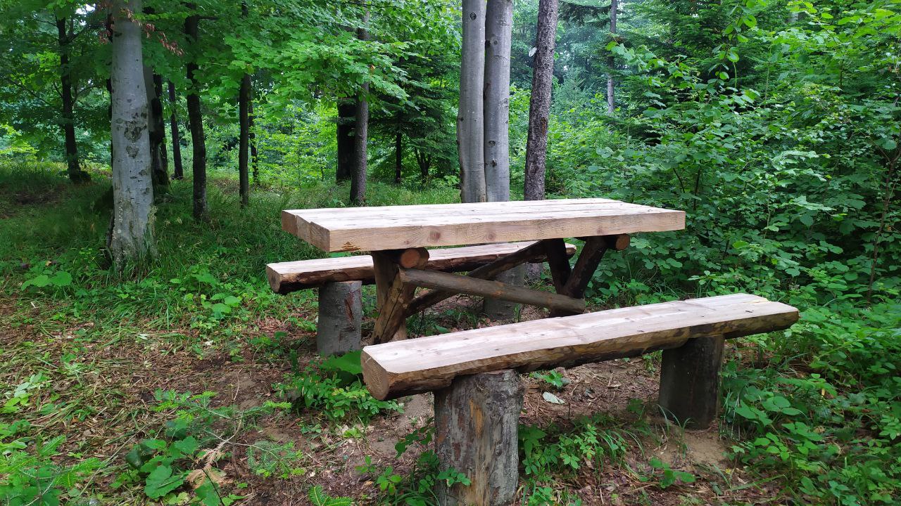 Нова оглядова вежа у Карпатах: як доїхати зі Львова, ціни 2022