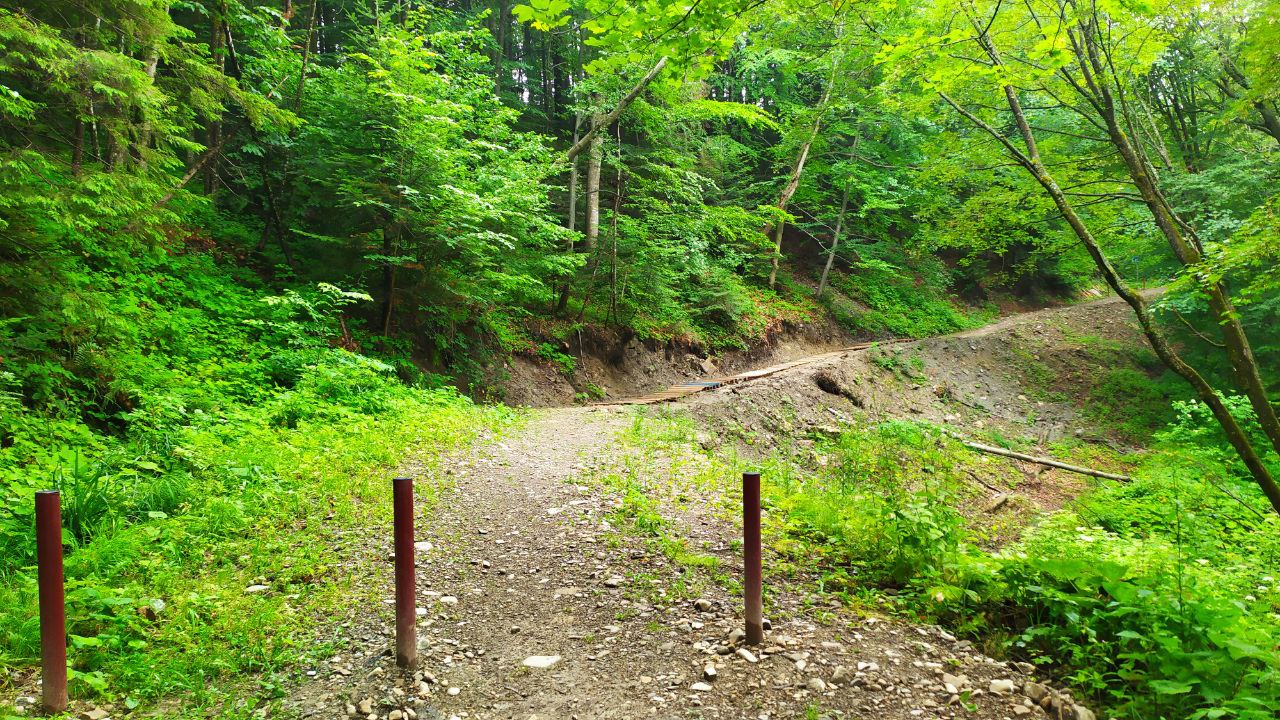 Нова оглядова вежа у Карпатах: як доїхати зі Львова, ціни 2022