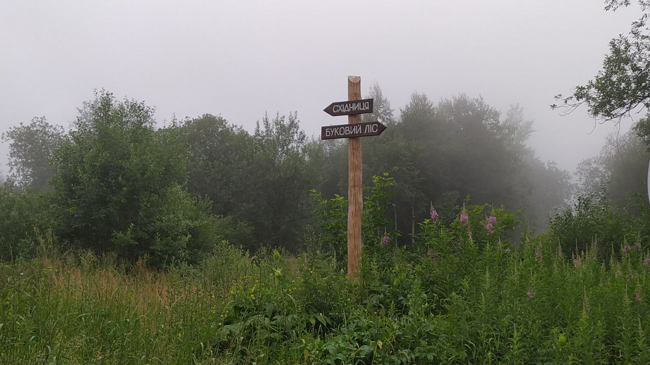 В Карпатах у Львівській області з’явилася 15-метрова оглядова вежа