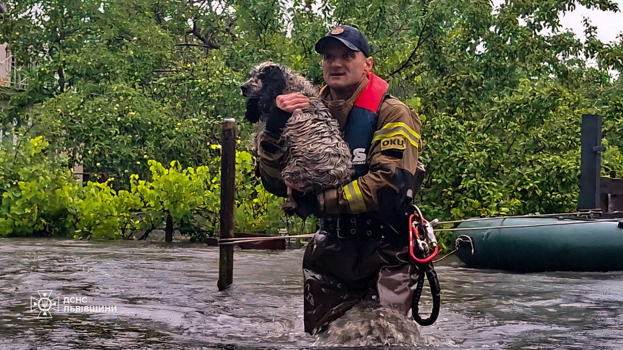Через сильні зливи і вихід річок із берегів затопило Львів: фото і відео