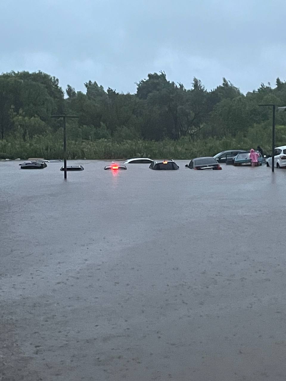 Через сильні зливи і вихід річок із берегів затопило Львів: фото і відео
