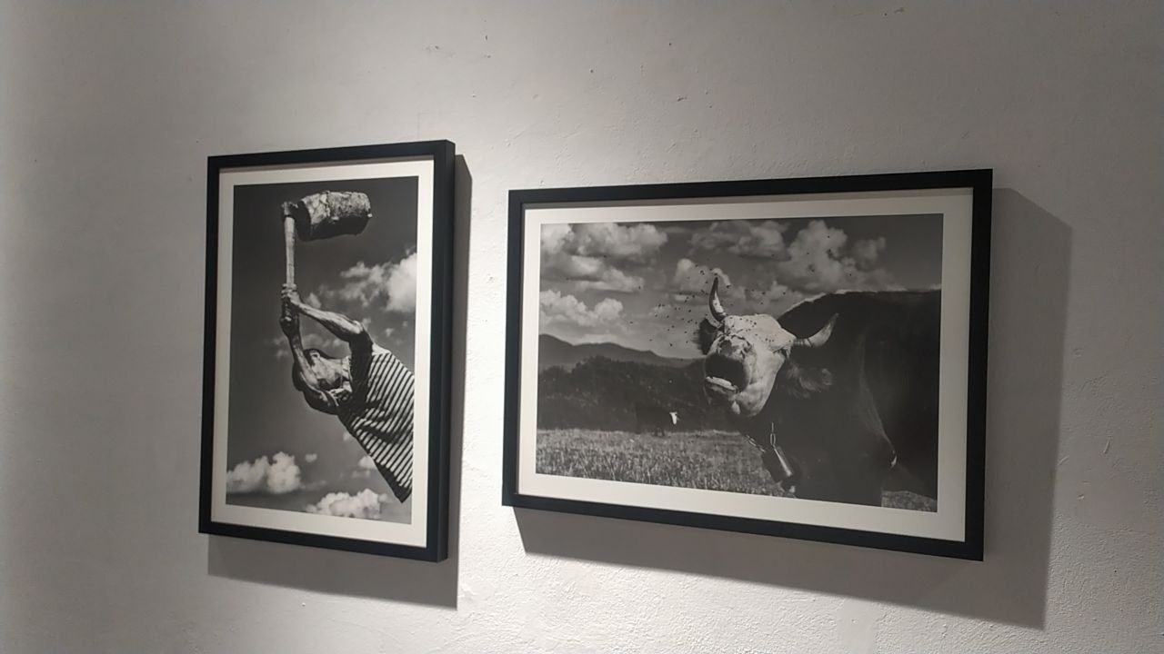 У Львові триває фотовиставка “Карпатські пастухи” Юрка Дячишина