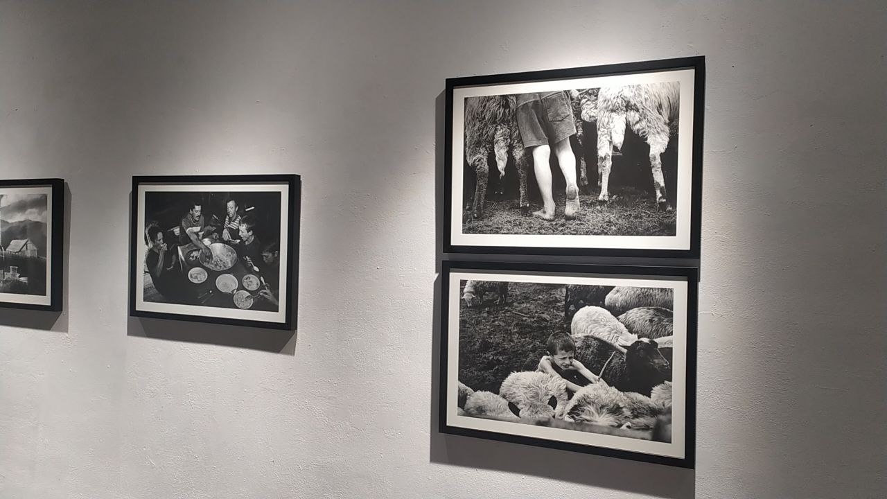 У Львові триває фотовиставка “Карпатські пастухи” Юрка Дячишина