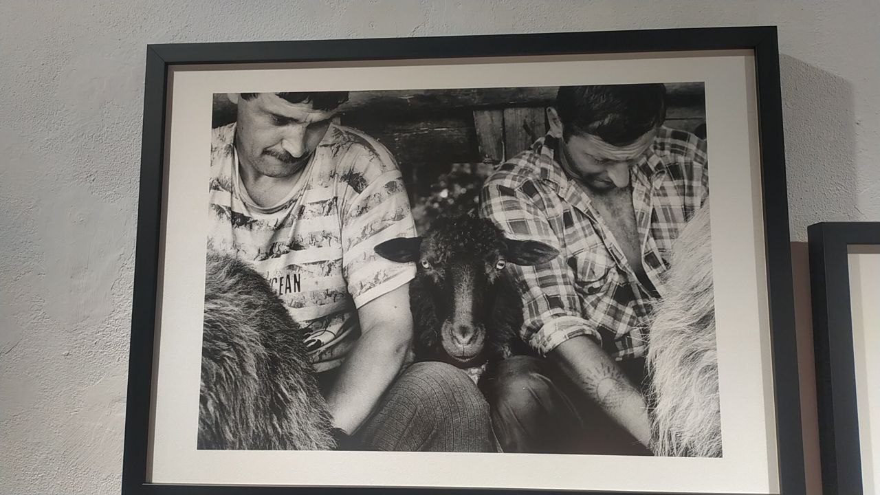 У Львові триває фотовиставка “Карпатські пастухи” Юрка Дячишина