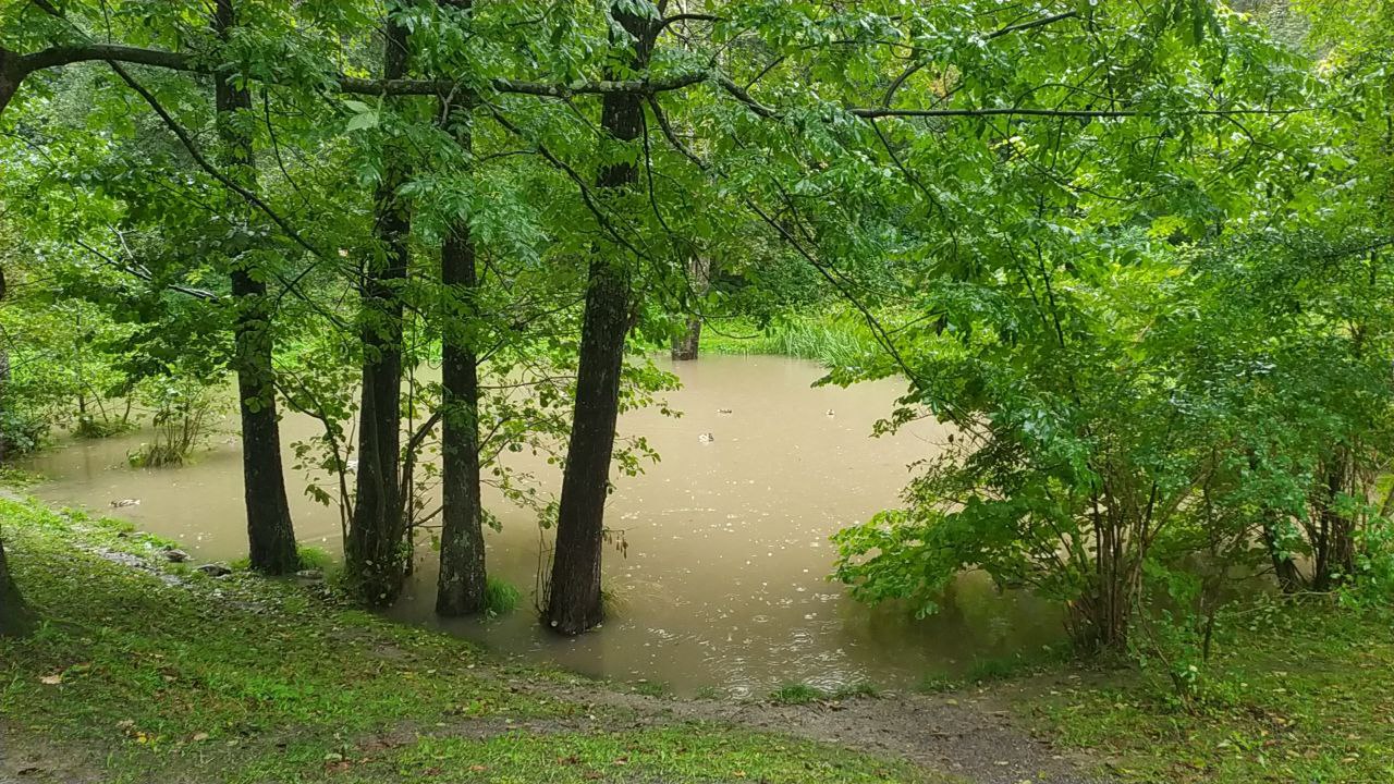 Трускавець заливає сильним дощем – фото і відео