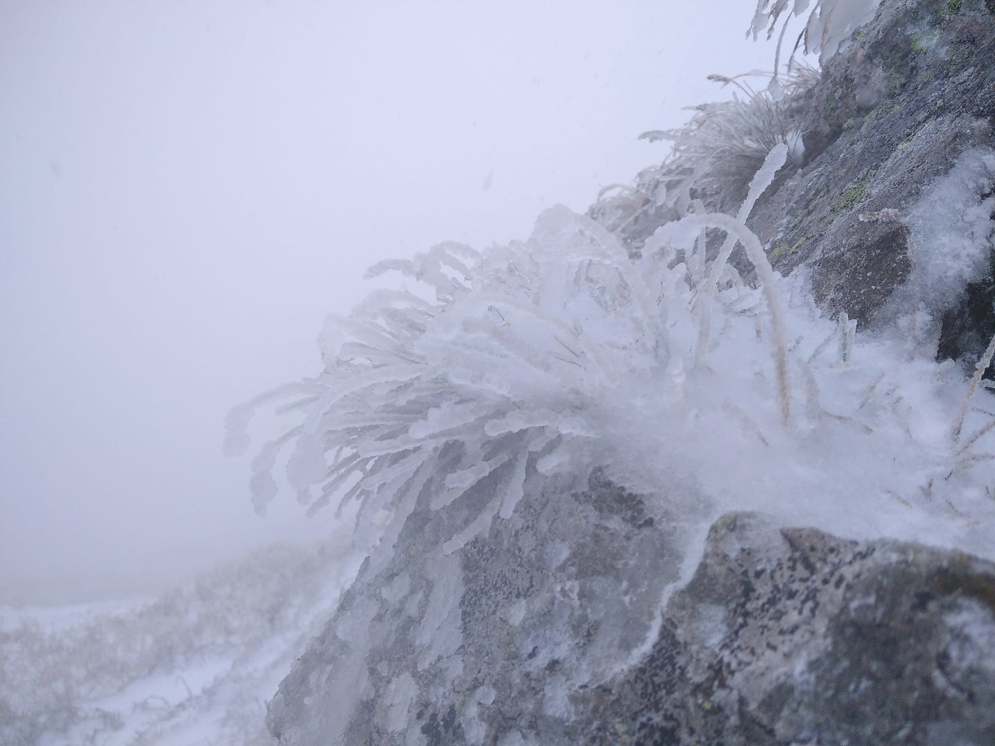 На заході України 19 вересня випав сніг