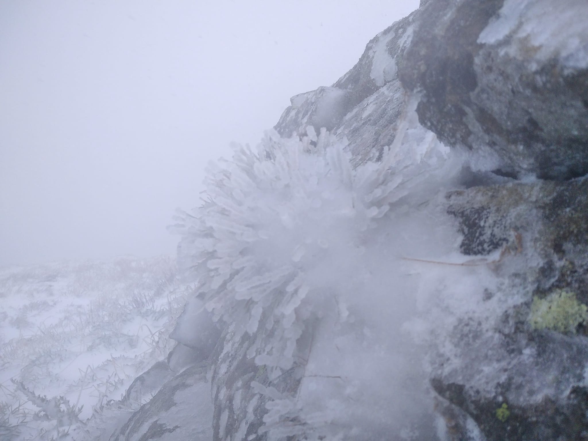 На заході України 19 вересня випав сніг