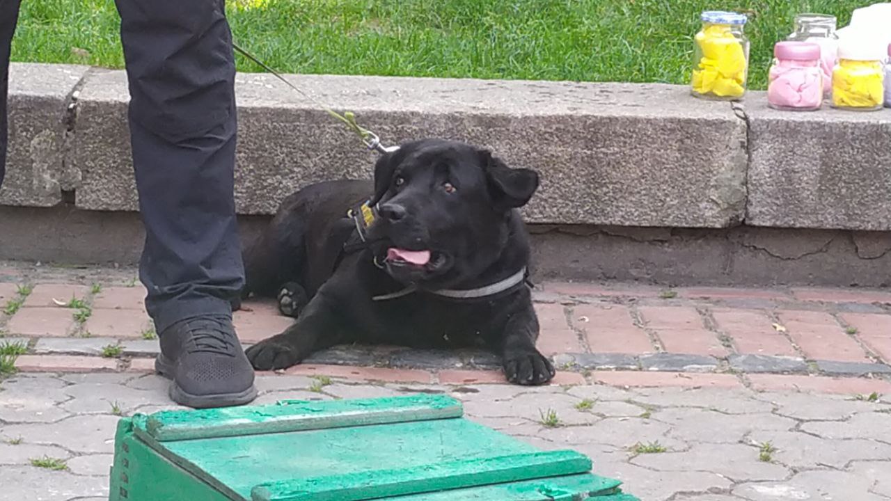 У Львові відбувся Shelter Fest