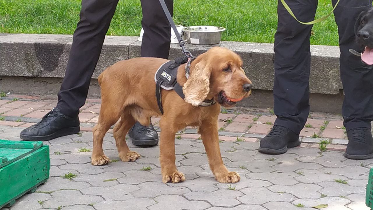 У Львові відбувся Shelter Fest