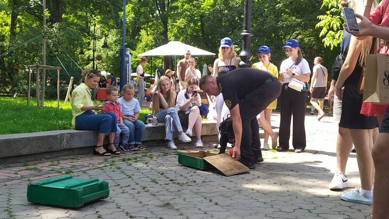 У Львові відбувся Shelter Fest – фото та відео фото 1