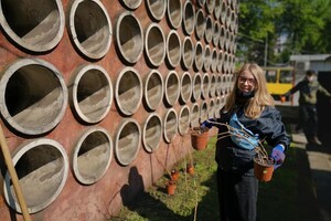 Стіна опорядження розквітне: у Львові створили перший дощовий садок фото