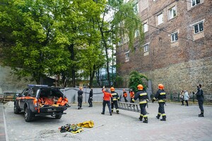 Зворушливі фото: львівські рятувальники зняли з дерева бабусиного котика фото