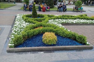 Як його не любити: у Львові розквітла площа біля Степана Бандери фото 1