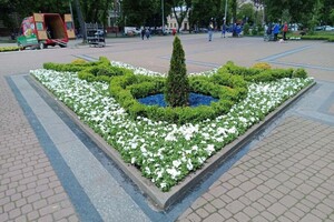 Як його не любити: у Львові розквітла площа біля Степана Бандери фото 2