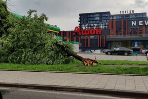 Львів поплив: очевидці опублікували фото і відео потопу фото 2