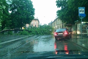 Львів поплив: очевидці опублікували фото і відео потопу фото 3