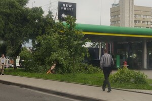 Львів поплив: очевидці опублікували фото і відео потопу фото 7