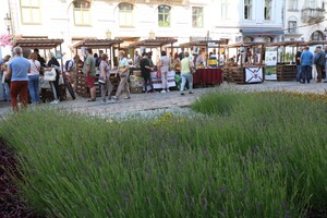 Фото, відео: як в центрі Львова працює перший фермерський ярмарок фото 4