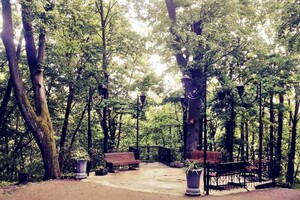 Прогулянка на вихідні: найцікавіші локації Стрийського парку фото 2
