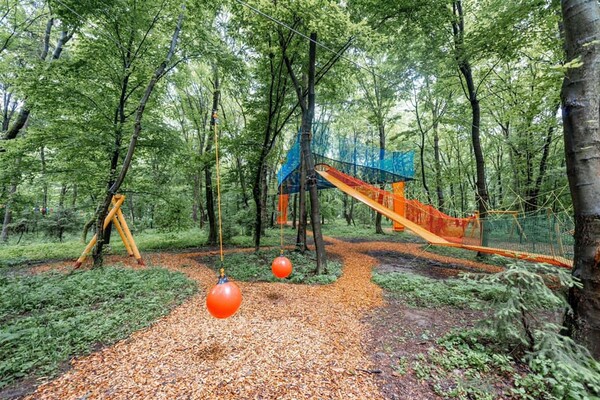 З динозаврами, батутами і скеледромом: біля Львова відкрили парк розваг  фото 1