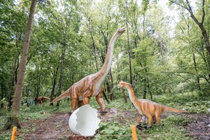 З динозаврами, батутами і скеледромом: біля Львова відкрили парк розваг  фото 2