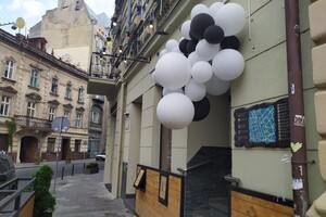 У центрі Львова відкрили Саt сafe: фото і відео  фото 6