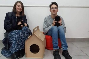 За місяць 28 бездомних собак і кішок знайшли нові домівки: фото щасливчиків фото 3