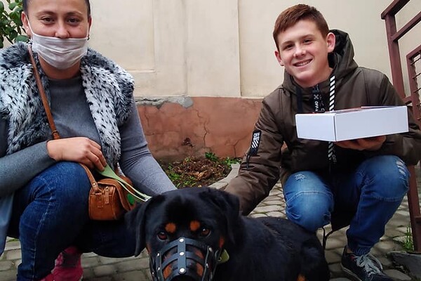 За місяць 28 бездомних собак і кішок знайшли нові домівки: фото щасливчиків фото 16