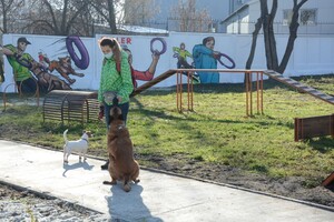 Як виглядає новий тренувально-вигульний майданчик для собак на Промисловій: фото фото 4