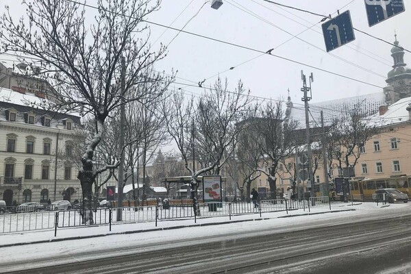 Львів замело рясним снігом. Фото: 032.ua
