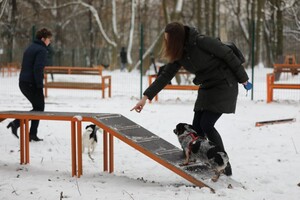 У Львові облаштували новий тренувально-вигульний майданчик для собак. Фото: Львівська міська рада